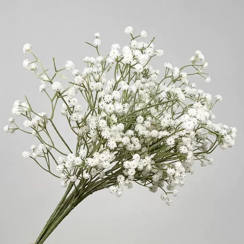 Baby Breath